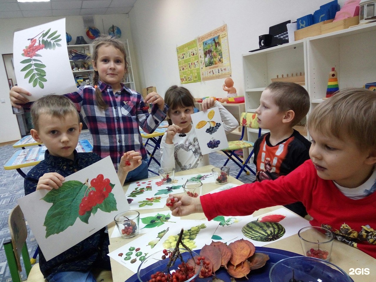 Центр развитие новосибирск