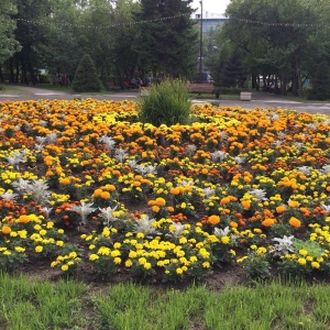 Фото от владельца Парк культуры и отдыха им. С.М. Кирова