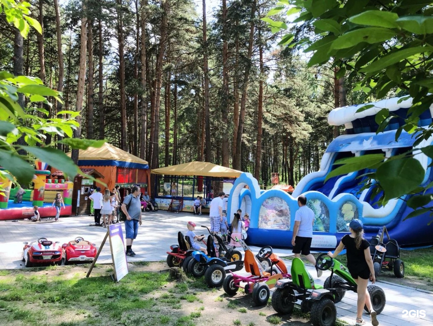Парк заельцовский парк