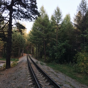 Фото от владельца Заельцовский, парк культуры и отдыха