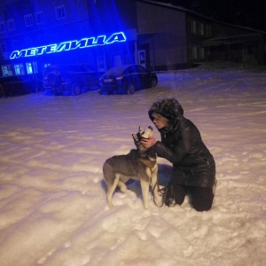 Фото от владельца Метелица, лыжная база