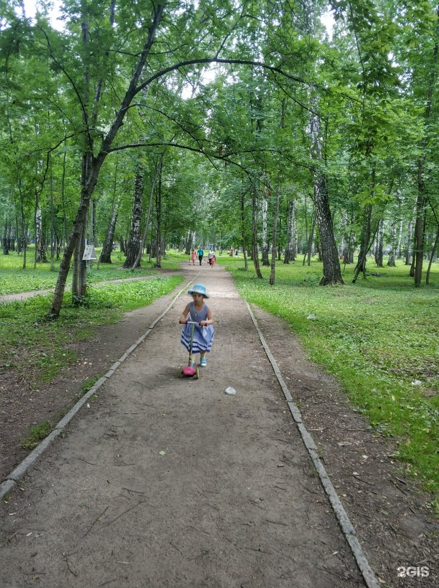 парк березовая роща новосибирск