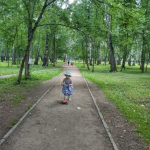 Фото от владельца Берёзовая роща, парк культуры и отдыха