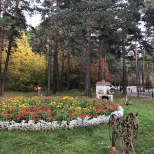 Фото от владельца Заельцовский, парк культуры и отдыха