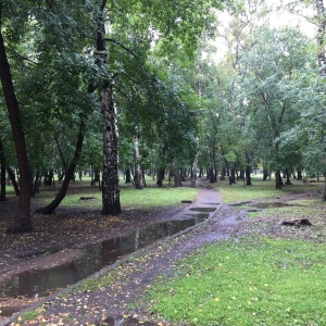 Фото от владельца Берёзовая роща, парк культуры и отдыха