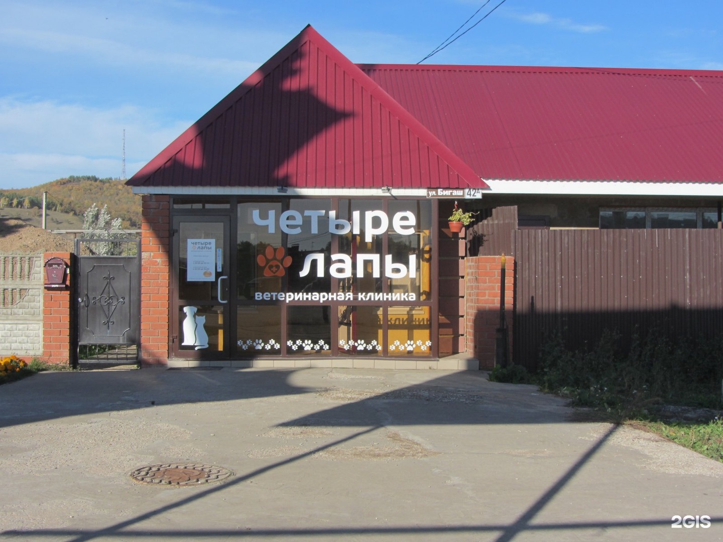 четыре лапы ветеринарная клиника чебоксары. бигаш 218 альметьевск. ветеринарный центр 4 лапы. 4 лапы ветеринарная клиника. вокзальная 4 лапы рязань ветклиника.