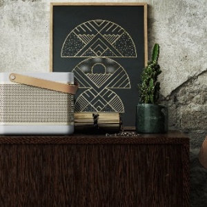 Фото от владельца Bang & Olufsen, фирменный салон