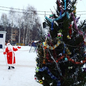 Фото от владельца Из леса, служба доставки живых елок