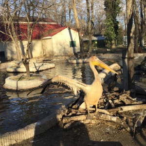 Фото от владельца Одесский зоопарк