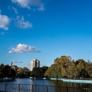 Фото от владельца Победа, дендропарк