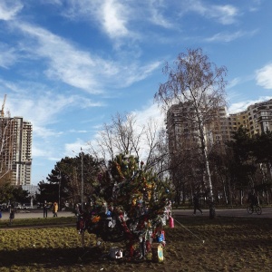 Фото от владельца Победа, дендропарк