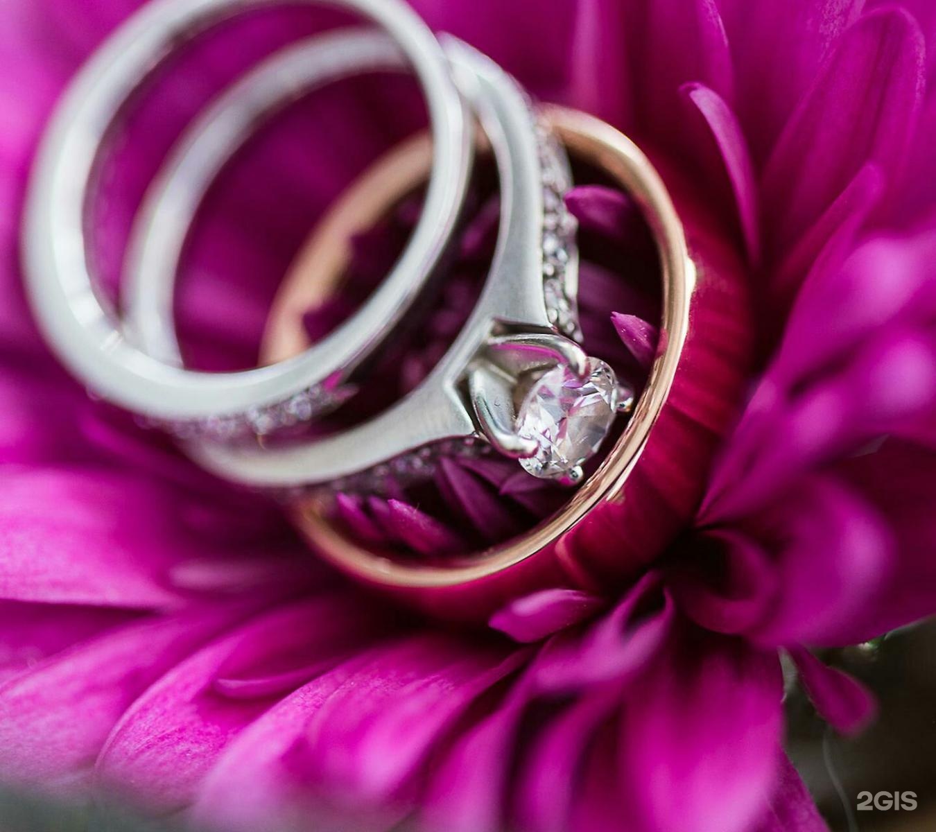 Фото кольца и цветов. Кольцо цветы. Кольца на свадьбу. Кольцо с цветами. Букет цветов с кольцом.