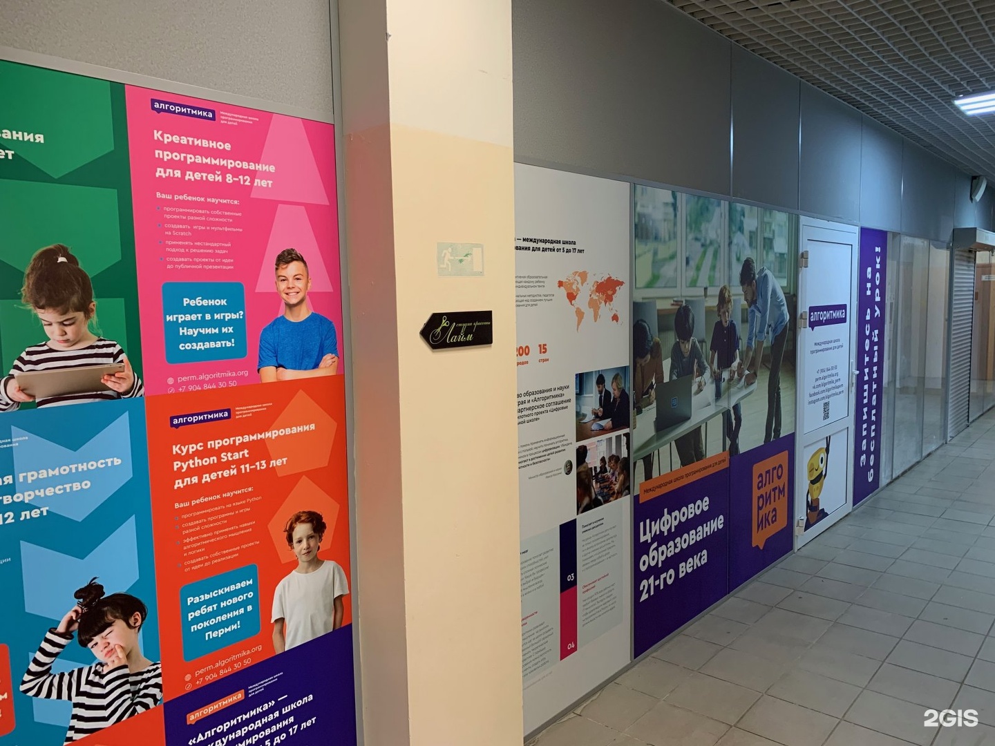 Алгоритмика пермь. Алгоритмика пермь. Алгоритмика пермь. Ул швецова 39 пермь. Алгоритмика.