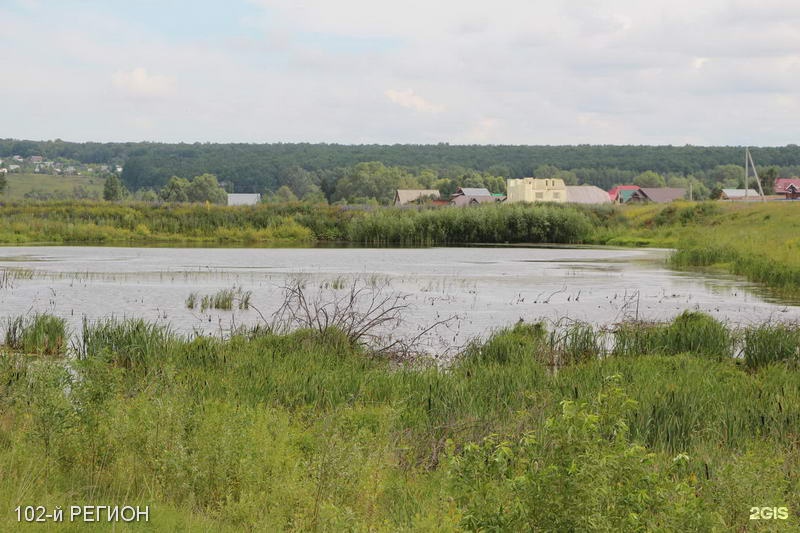 Бурцево башкортостан. Малое пехово новгородская область. Деревня бурцева. Деревня зубцово. Бурцево нижегородская область коттеджный поселок.