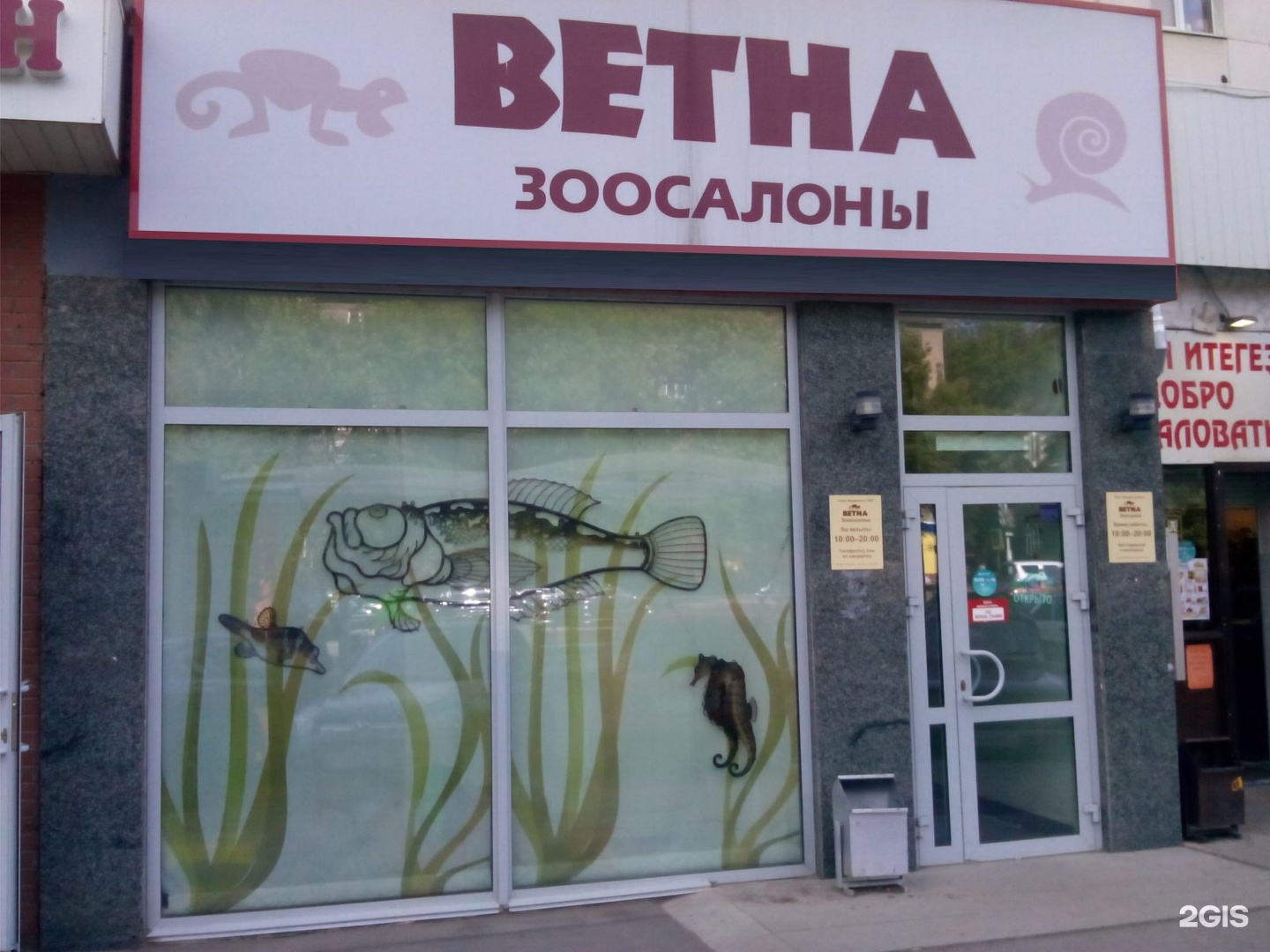 Ветна уфа