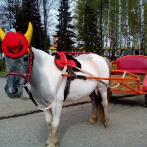 Фото от владельца Русская забава, конный клуб
