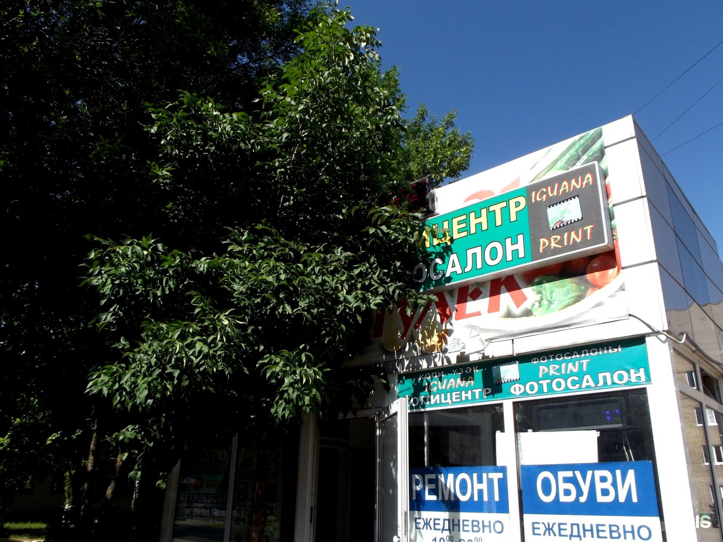 Экспресс принт тамбов. Принт сеть. Принт сеть. Sv print волжский на дружбе. Игуана принт уфа.