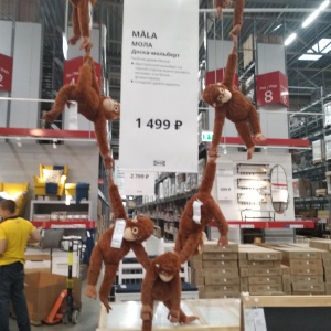 Фото от владельца IKEA, гипермаркет товаров для дома