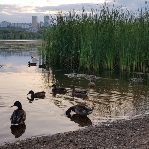 Фото от владельца Кашкадан, парк культуры и отдыха