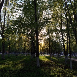 Фото от владельца Парк Победы, г. Самара