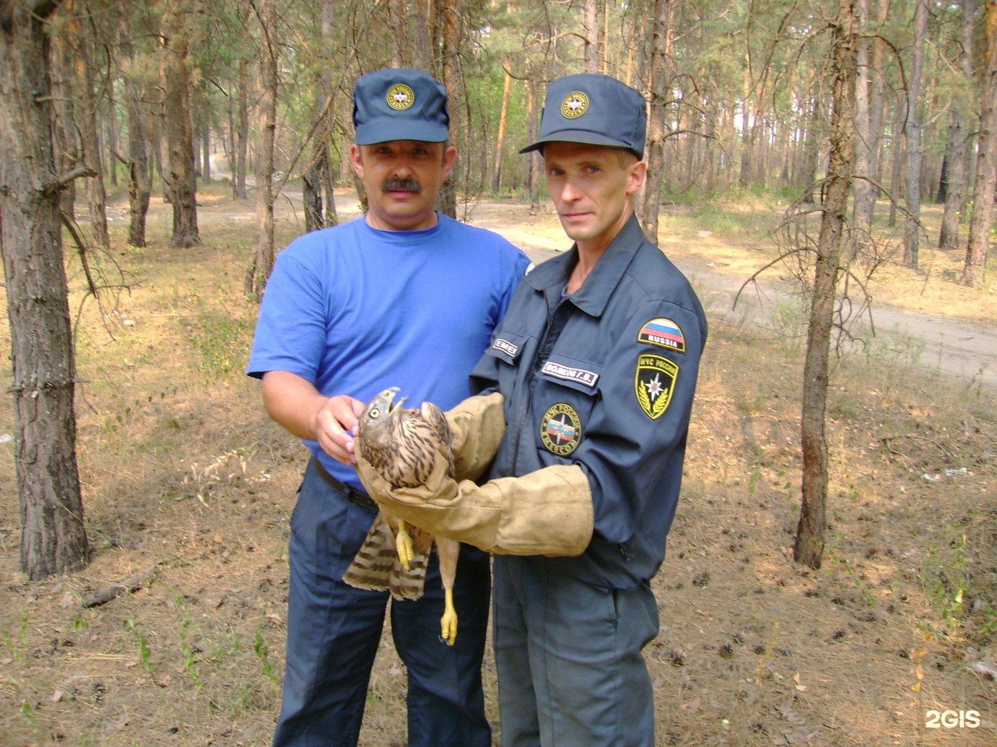 управляю дзержинск