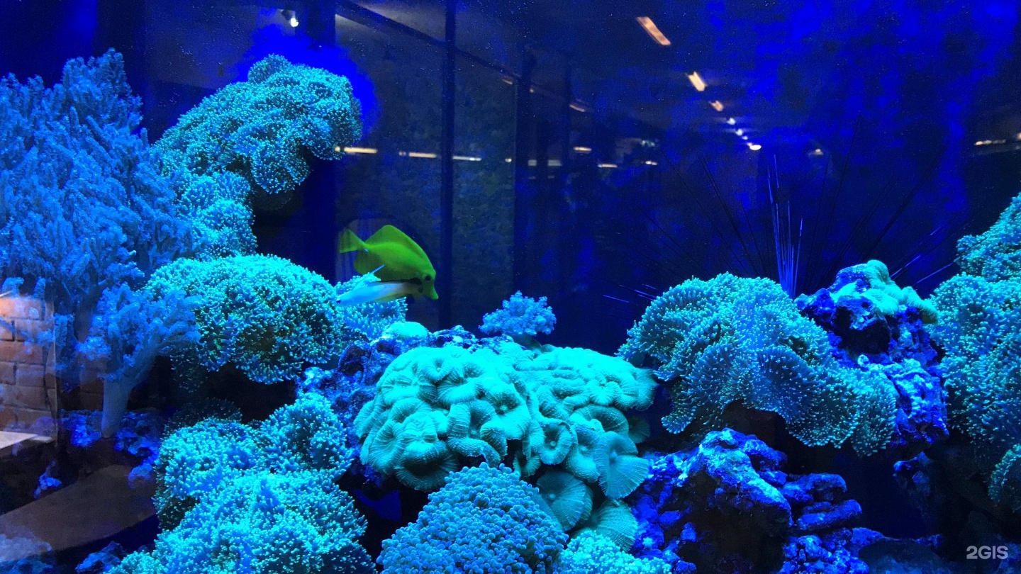 дом творчества лизы чайкиной