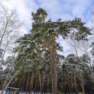 Фото от владельца База отдыха им. А.И. Покрышкина