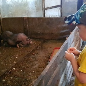 Фото от владельца ПОЛИТОТДЕЛ, база отдыха