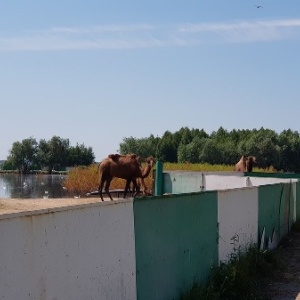 Фото от владельца ПОЛИТОТДЕЛ, база отдыха