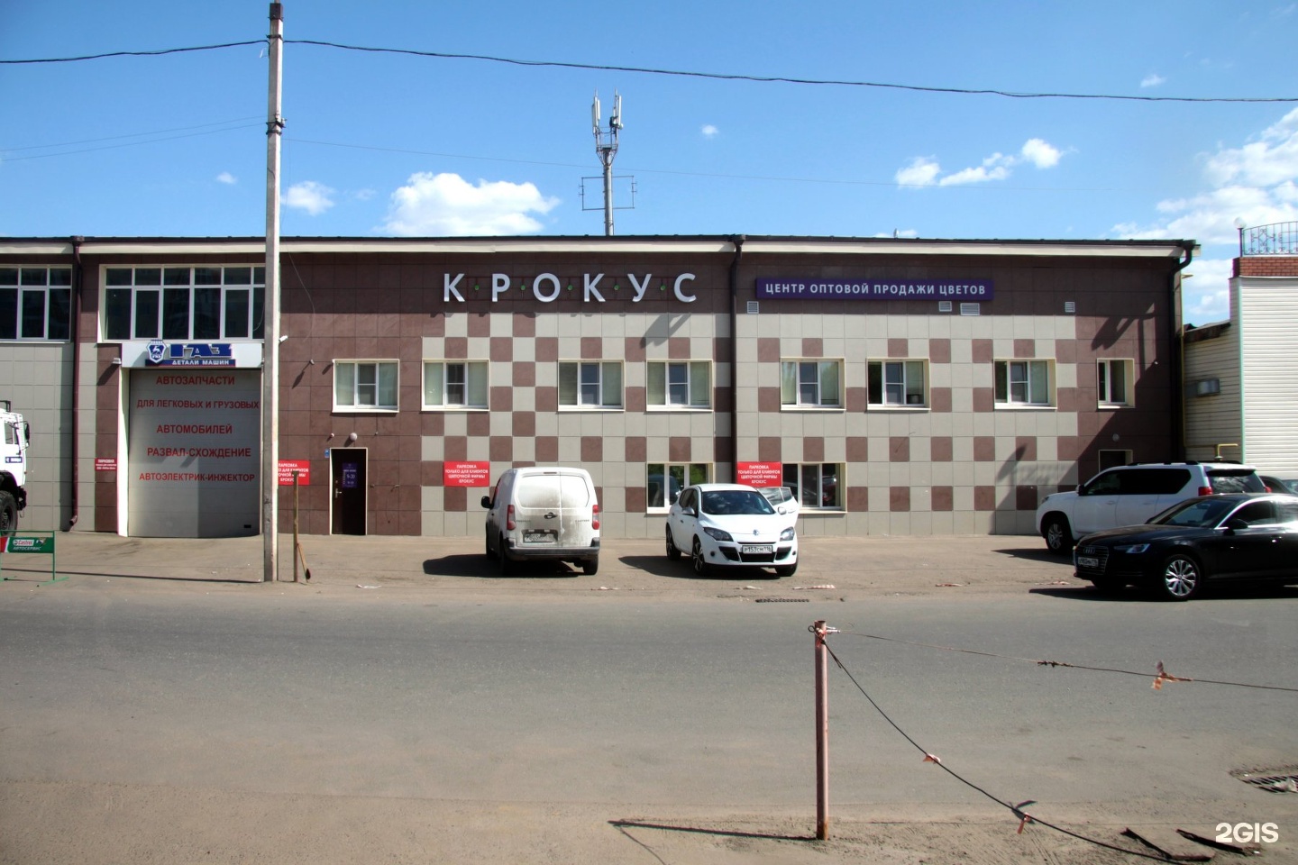 Букет гортензию, казань цветы оптом роторная