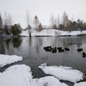 Фото от владельца Лошадиное царство на Ранчо, конный клуб