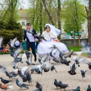 Фото от владельца Zoom, фотостудия