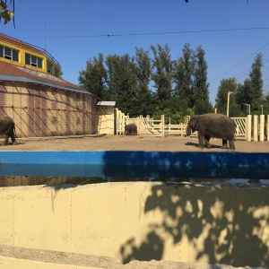 Фото от владельца Ростовский зоопарк