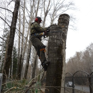 Фото от владельца Оазис-21 век, центр городского озеленения