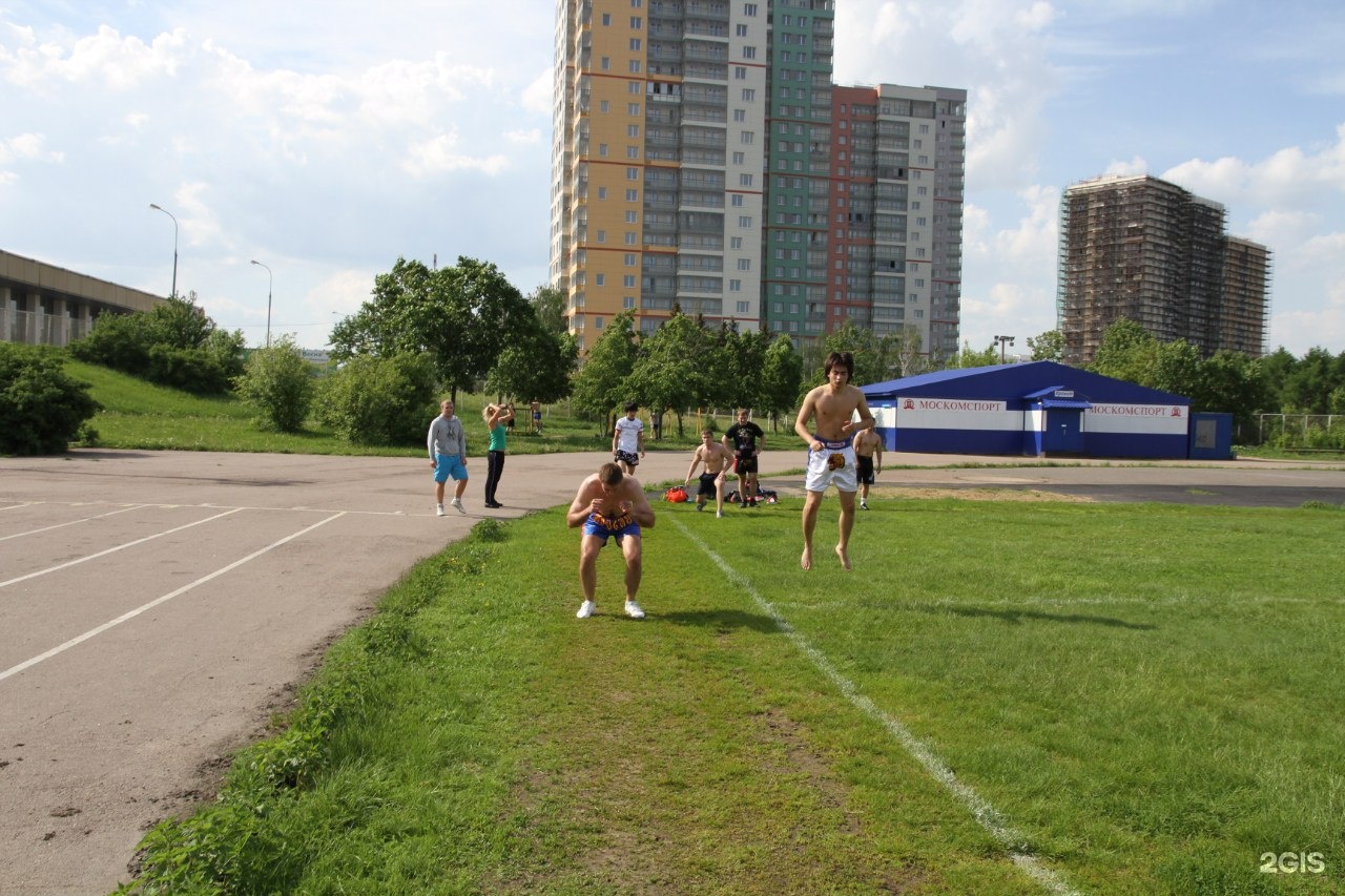 Фок раменки 19. Спорткомплекс Раменки 19. ФОК на улице Раменки. Раменки 19 Москва. Улица Раменки 19.