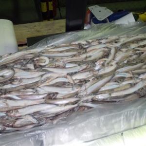 Фото от владельца ТД Кайрос, оптовая компания по продаже овощей и свежемороженой рыбы