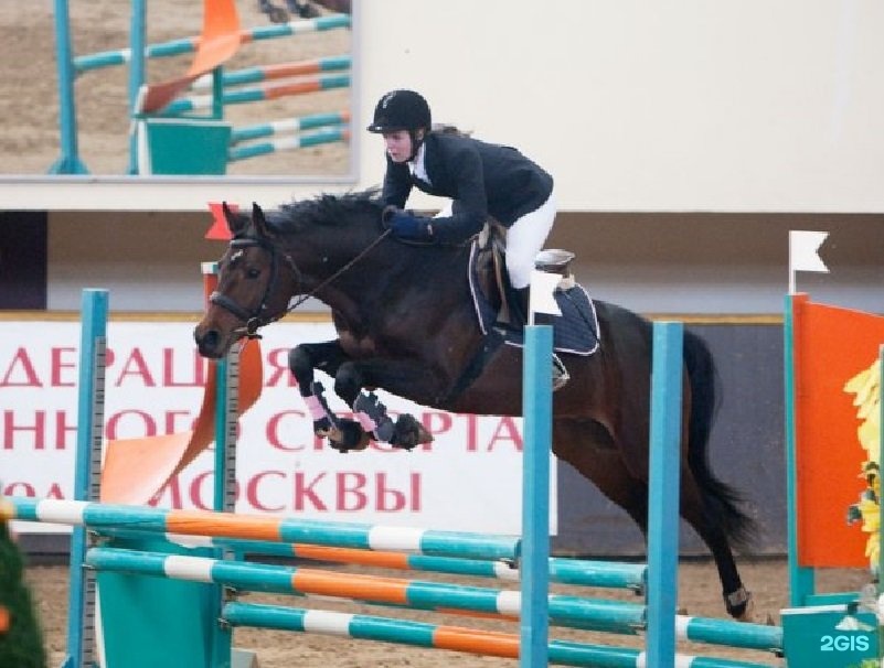 Конный клуб ясенево. Кск битца лошади. Кск прованс ясенево. Прованс ясенево конный. Клуб прованс в ясенево.