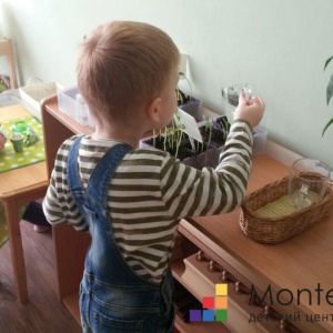 Фото от владельца Montessori Kid, центр раннего развития