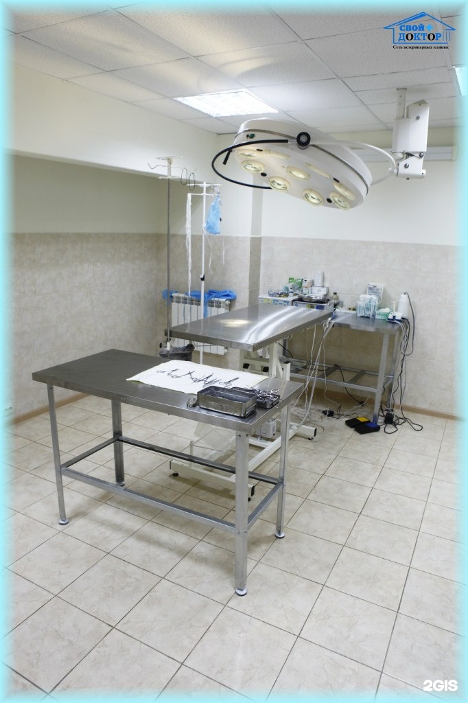 ветклиника котельниково