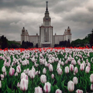 Фото от владельца Московский государственный университет им. М.В. Ломоносова