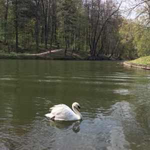 Фото от владельца Царицыно, парк культуры и отдыха