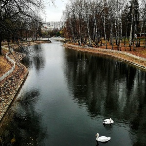 Фото от владельца Лианозовский, парк культуры и отдыха