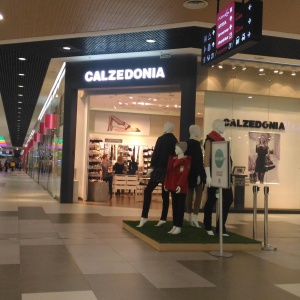 Фото от владельца Calzedonia, сеть магазинов колготок