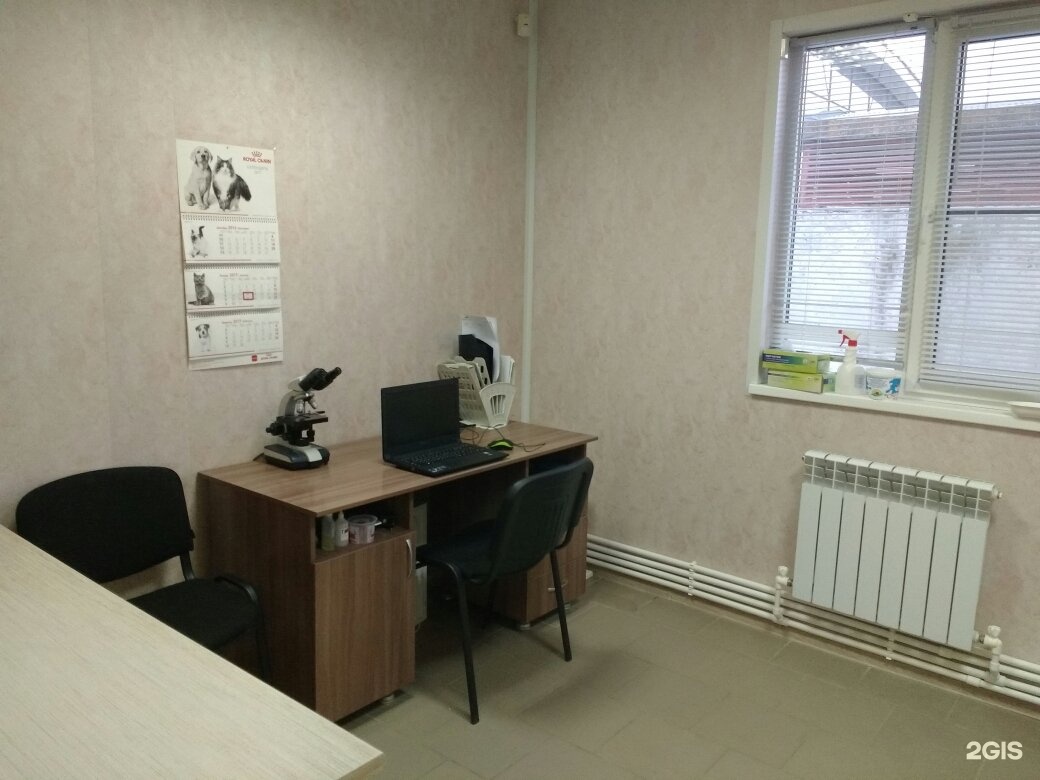 кисвет волжский телефон. сотрудники кис вет в волжском на ленина 94 в. альтернатива ветклиника самара. ветакис. мастервет красноармейск ветклиника.