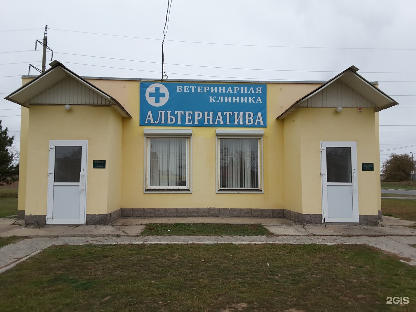 Ветеринарные клиники в бобруйске. Ветклиника на 22 Партсъезда Самара. Альтернатива ветклиника. Ветклиника в Железнодорожном.