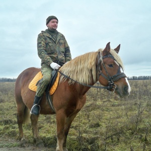 Фото от владельца Royal Horse, конный клуб