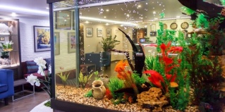 Хабаровск: Отель Аврора