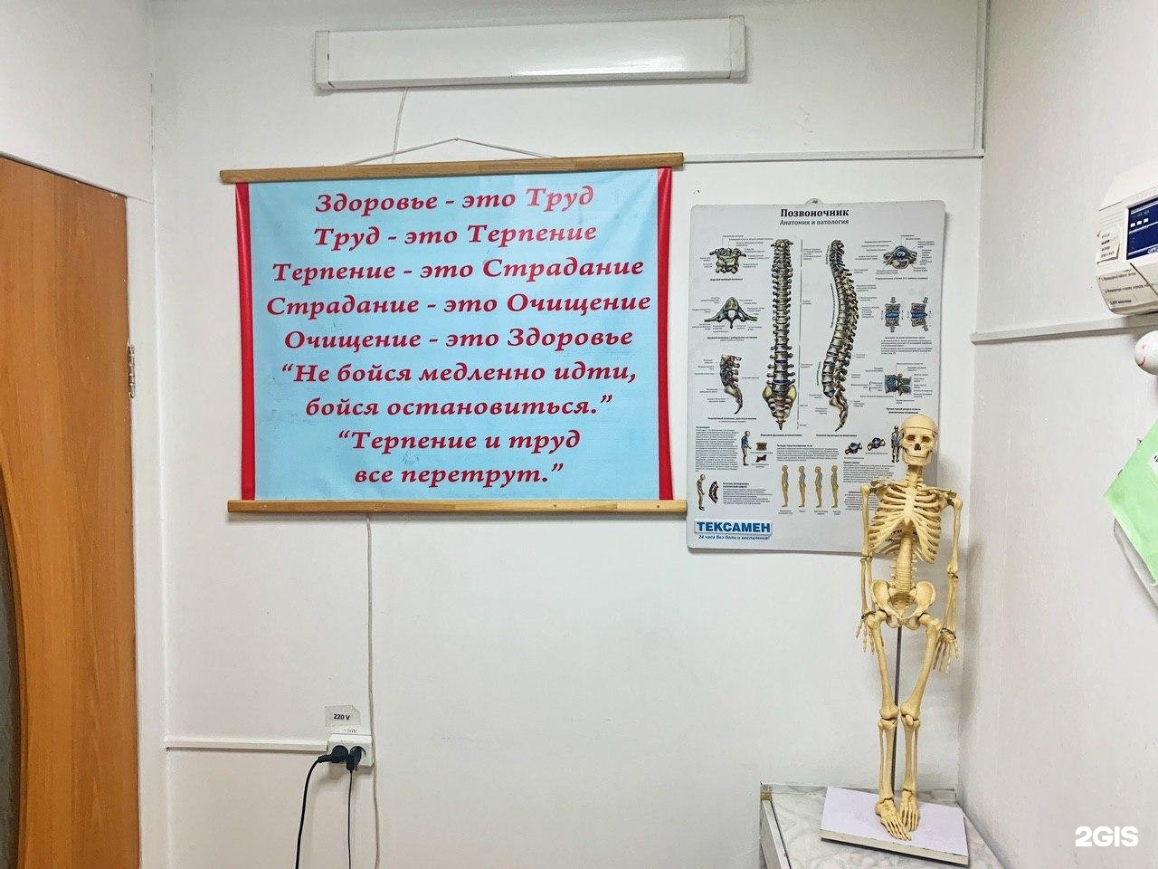 Эскулап оренбург