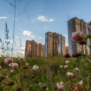 Фото от владельца Главстрой СПб, ООО, строящиеся объекты