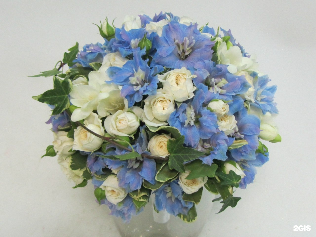 Голубые цветы мелкие флористика